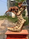 tuong-bao-san-moi-go-nu-huong-cao-51-ngang-41-sau-16-cm-440013