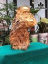 tuong-dat-ma-su-to-go-lua-doi-cao-68-ngang-45-sau-30-cm-440856