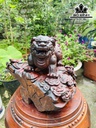 tuong-nghe-xu-go-trac-cao-25-ngang-28-sau-27-cm-442790