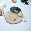 Vòng Tay Ngọc Trai Mix Titan