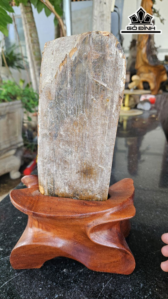 Tác Phẩm Gỗ Hóa Thạch Cao 30 Ngang 10 (cm) 3kg