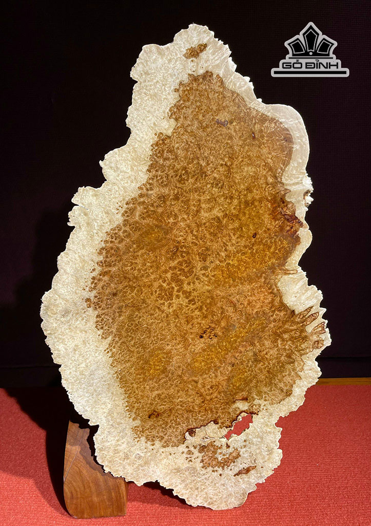 dien-phat-go-nu-huong-cao-56-ngang-34-sau-7-cm-444792