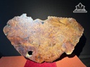 quat-trang-tri-go-nu-huong-cao-63-ngang-103-sau-3-cm-444795