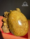 tuong-tam-coc-ngam-tien-go-nu-huong-cao-30-ngang-50-sau-40-cm-444823