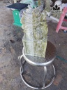 an-rong-da-serpentine-cao-30-ngang-15-sau-15-cm-12kg-445736