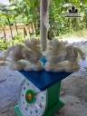 cap-ty-huu-da-cam-thach-trang-cao-20-ngang-13-dai-54-cm-13kg-445738