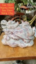 cu-long-quy-da-serpentine-cao-17-ngang-25-sau-28-cm-11kg-445823
