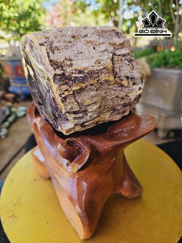 tac-pham-khuc-cay-mun-hoa-thach-cao-22-duong-kinh-12-cm-4kg-446778