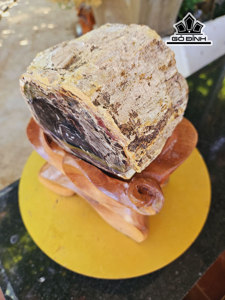 tac-pham-khuc-cay-mun-hoa-thach-cao-22-duong-kinh-12-cm-4kg-446779