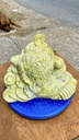 thiem-thu-da-serpentine-cao-14-ngang-26-sau-20-cm-6kg-446831