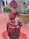 tuong-tam-duong-khai-thai-go-trac-cao-81-ngang-45-sau-26-cm-447169