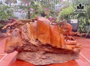 tuong-tieu-canh-go-huong-cao-ca-ky-50-rieng-tuong-cao-41-ngang-75-sau-22-cm-447173