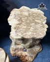 bo-ban-tra-goc-cay-go-nu-ngoc-nghien-cao-63-ngang-118-sau-80-don-cao-40-ngang-34x38-sau-35x40-cm-447619