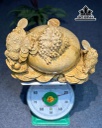 tuong-tam-coc-ngam-tien-go-nu-khao-cao-28-ngang-44-sau-38-cm-447700
