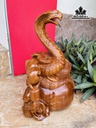 tuong-ran-phong-thuy-go-ngoc-am-cao-38-ngang-22-sau-18-cm-447960