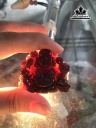 mat-day-chuyen-di-lac-da-garnet-cao-36-ngang-43-cm-167cts-448076