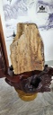 tac-pham-go-hoa-thach-cao-59-ngang-28-cm-42kg-448220