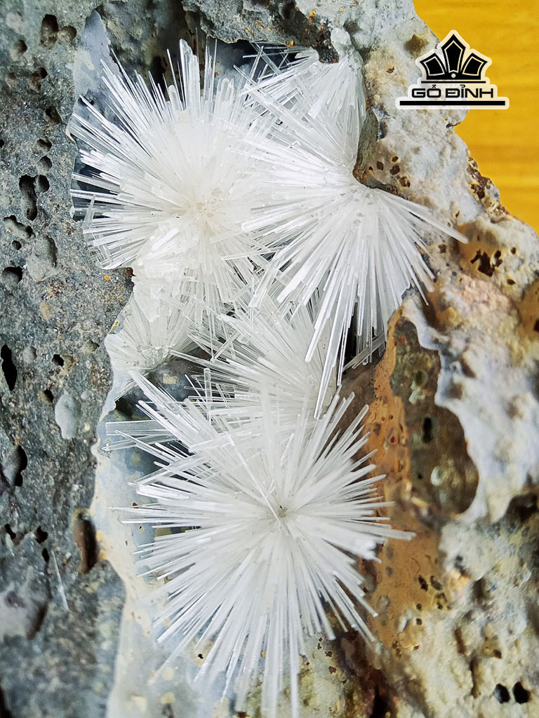 bong-hoa-uu-dam-da-tram-tich-cao-18-ngang-16-cm-1kg-449188