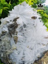bong-hoa-uu-dam-da-tram-tich-cao-20-ngang-18-cm-2kg-449192
