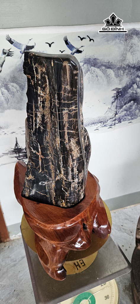 tac-pham-khuc-mun-den-go-hoa-thach-cao-52-ngang-20-cm-20kg-449872