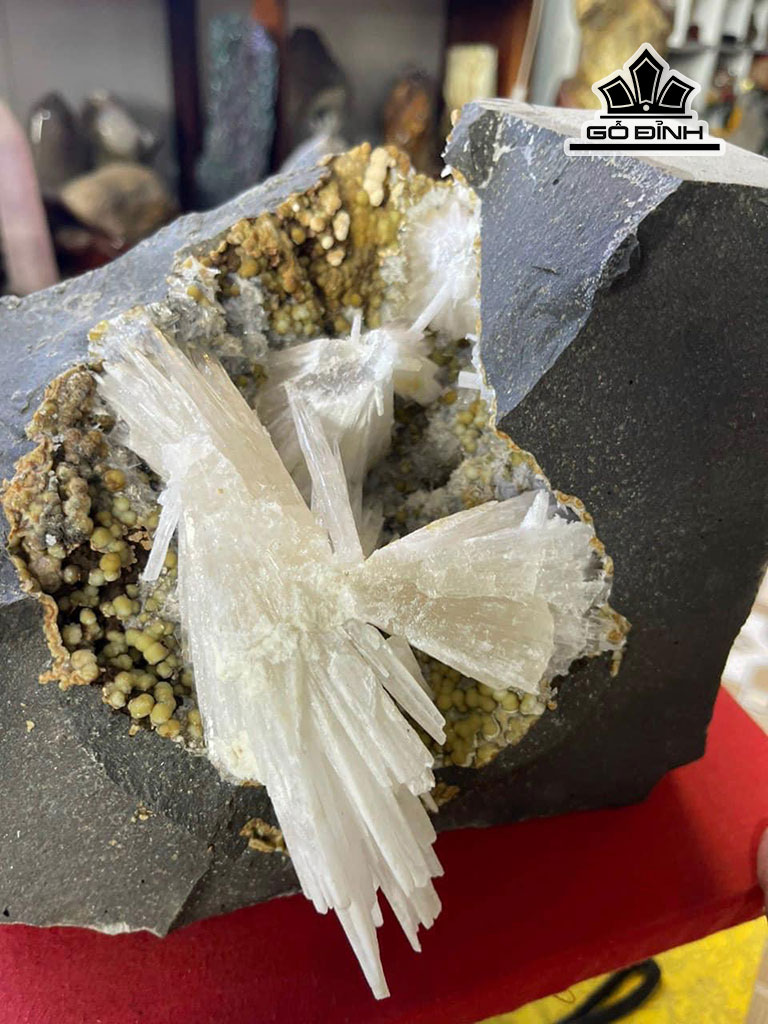 bong-hoa-uu-dam-da-tram-tich-cao-20-ngang-18-cm-8kg-450012