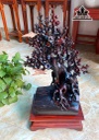 cay-mai-phong-thuy-go-trac-cao-ca-ky-63-ngang-36-sau-26-cm-450139