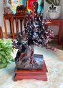 cay-mai-phong-thuy-go-trac-cao-ca-ky-63-ngang-36-sau-26-cm-450140