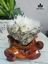 bong-hoa-uu-dam-da-tram-tich-cao-19-ngang-15-cm-19kg-450218