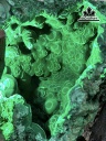 tac-pham-hoa-da-da-malachite-cao-35-cm-64kg-450229