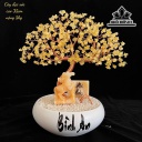 cay-dai-da-thach-anh-cao-35-cm-5kg-450232