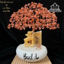 cay-dai-xoe-xum-da-thach-anh-cao-35-cm-5kg-450234
