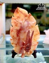 ngoc-thien-da-onyx-450246