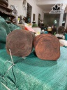 cap-than-tai-tho-dia-go-trac-cao-24-25-ngang-17-15-sau-14-13-cm-450310