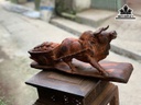 tuong-bo-tot-keo-tien-vang-go-trac-cao-22-ngang-50-sau-13-cm-450322