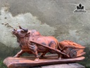 tuong-bo-tot-keo-tien-vang-go-trac-cao-22-ngang-50-sau-13-cm-450325