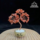 cay-tai-loc-mini-da-thach-anh-cao-15-cm-451064