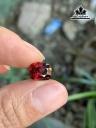 vien-da-garnet-cao-92-ngang-7-sau-49-mm-305cts-451129