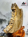 tac-pham-go-hoa-thach-cao-45-ngang-35-sau-55-cm-138kg-451358