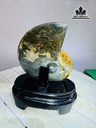 tac-pham-oc-anh-vu-hoa-ngoc-cao-20-ngang-13-cm-1kg-451558
