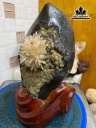 bong-hoa-uu-dam-da-tram-tich-cao-26-rieng-hoa-to-8-cm-4kg-451865