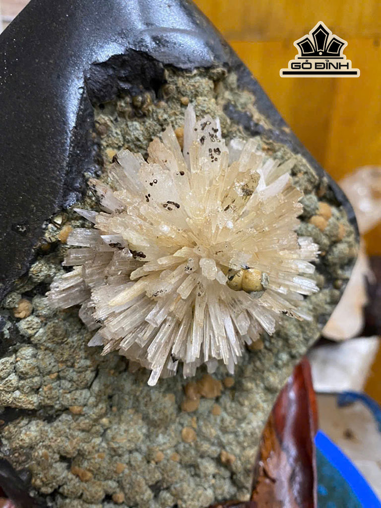 bong-hoa-uu-dam-da-tram-tich-cao-26-rieng-hoa-to-8-cm-4kg-451866