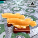tac-pham-ca-rong-da-ngoc-hoang-long-cao-30-cm-451925