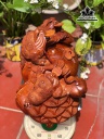tuong-tam-coc-ngam-tien-go-huong-cao-38-ngang-54-sau-33-cm-452178