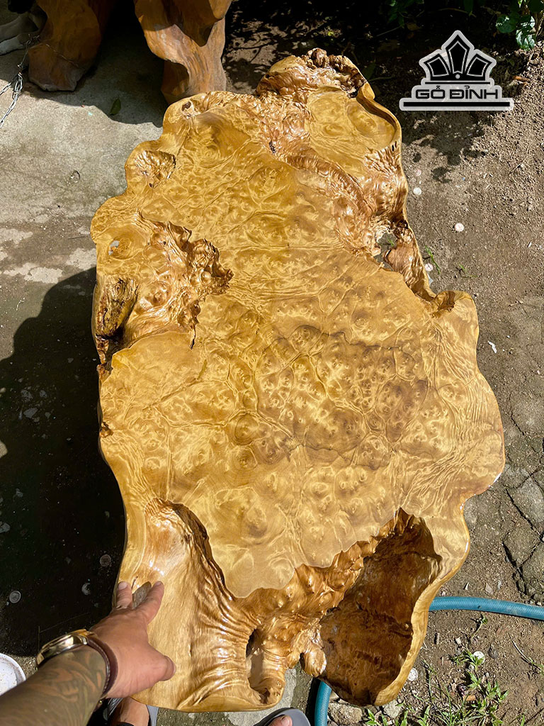 ban-tra-go-nu-khao-ngang-110-rong-55-day-18-cm-452240