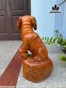 tuong-cho-go-huong-cao-485-ngang-28-sau-19-cm-452454