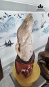 tac-pham-go-hoa-thach-cao-55-ngang-18-cm-12kg-452921