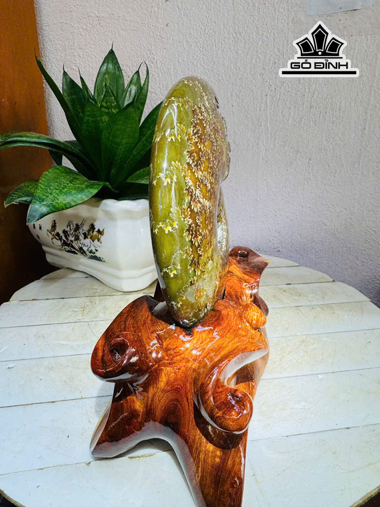oc-anh-vu-hoa-ngoc-cao-22-ngang-13-cm-18kg-453204