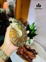 oc-anh-vu-hoa-ngoc-cao-24-ngang-15-cm-22kg-453212
