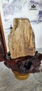 tac-pham-go-hoa-thach-cao-59-ngang-28-cm-42kg-453266