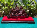 cau-nhu-y-go-trac-cao-22-ngang-39-sau-19-cm-ca-ky-28-cm-453765